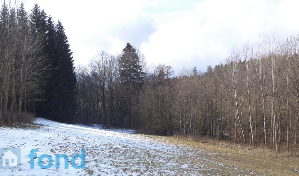 Prodej pozemku 10 344 m², Kájov – náhled fotky 5