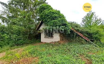 Prodej chaty/chalupy 30 m² s pozemkem 1 632 m², Měrovice nad Hanou, okres Přerov