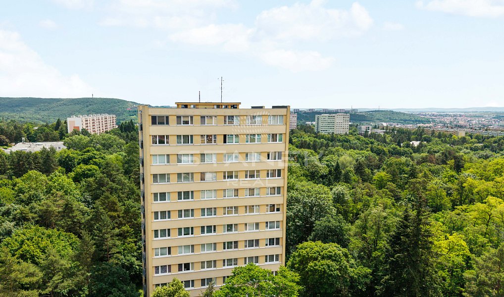 Prodej bytu 3+1 66 m², Brno – náhled fotky 17