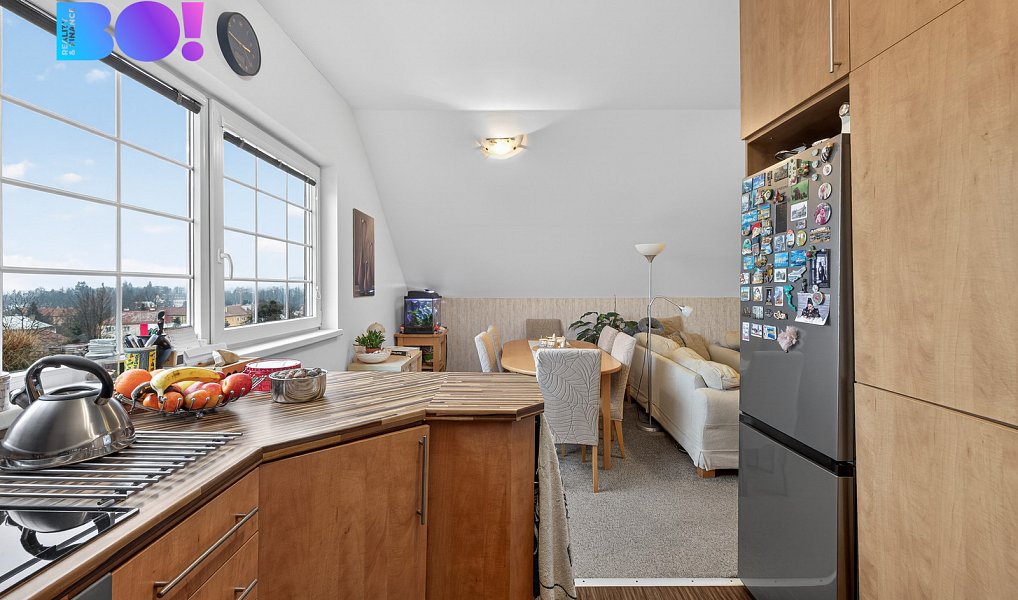 Prodej domu 280 m² s pozemkem 446 m², Rožnov pod Radhoštěm – náhled fotky 16