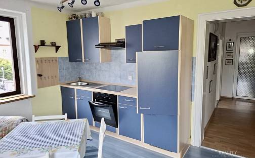 Pronájem bytu 3+1 120 m², Aš - Kopaniny, okres Cheb