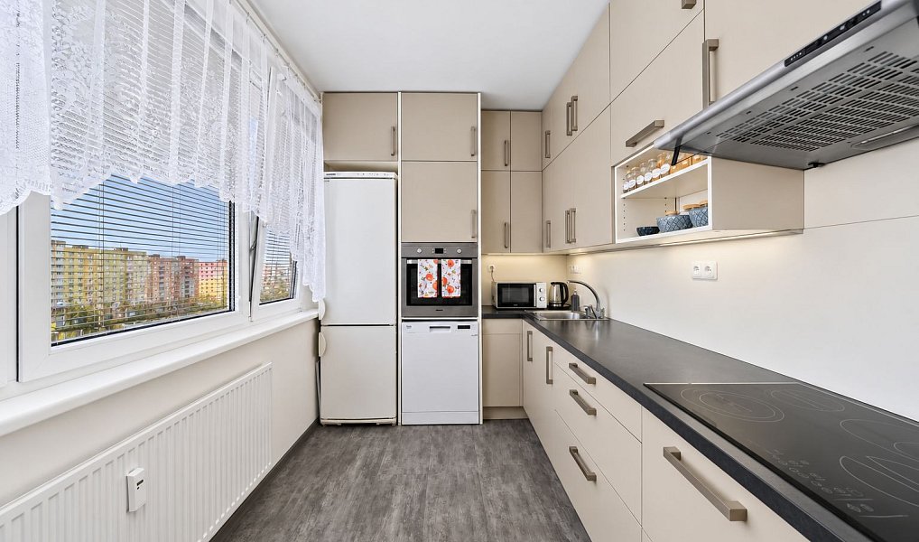 Prodej bytu 2+1 58 m², Plzeň – náhled fotky 2