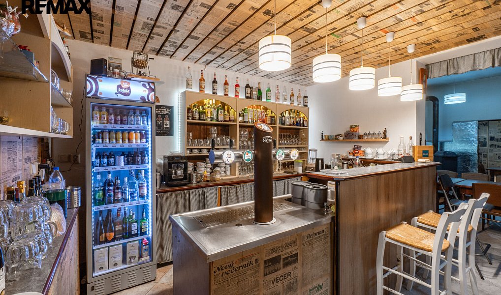 Prodej nájemního domu, činžáku 897 m², Bojanovice – náhled fotky 2