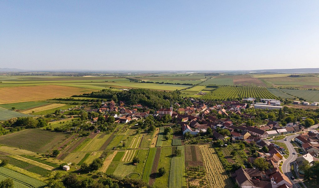 Prodej domu 245 m² s pozemkem 1 730 m², Ořechov – náhled fotky 8