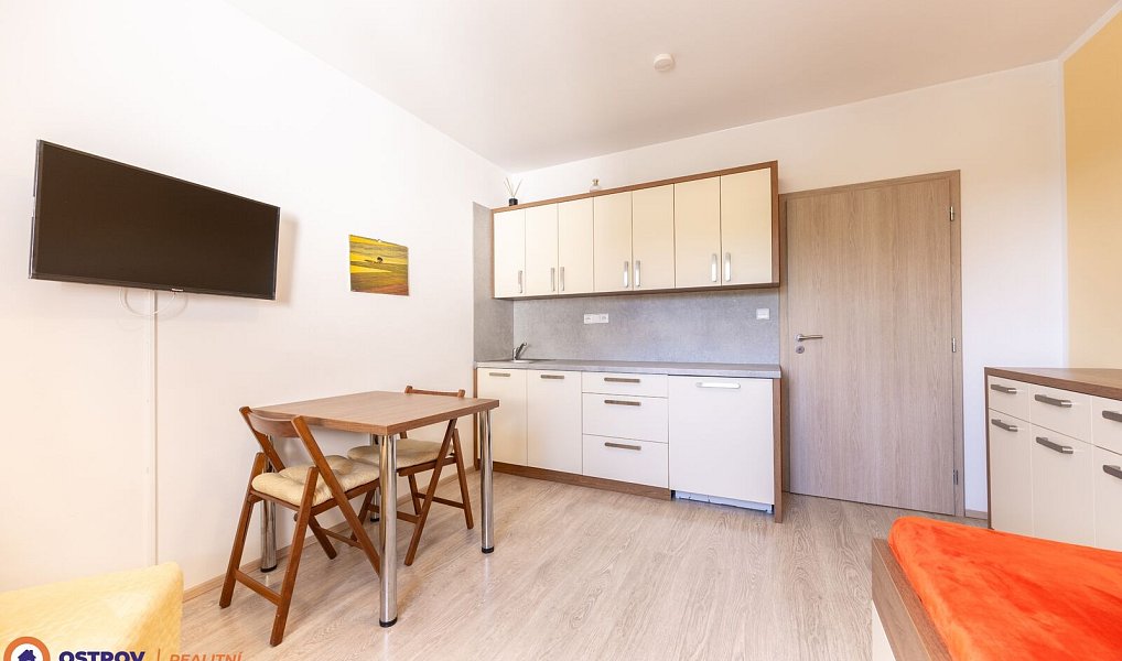 Pronájem bytu 1+kk 21 m², Loučná nad Desnou – náhled fotky 5