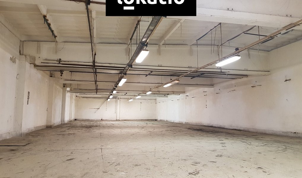 Pronájem skladovacích prostor 3 000 m², Olomouc – náhled fotky 8