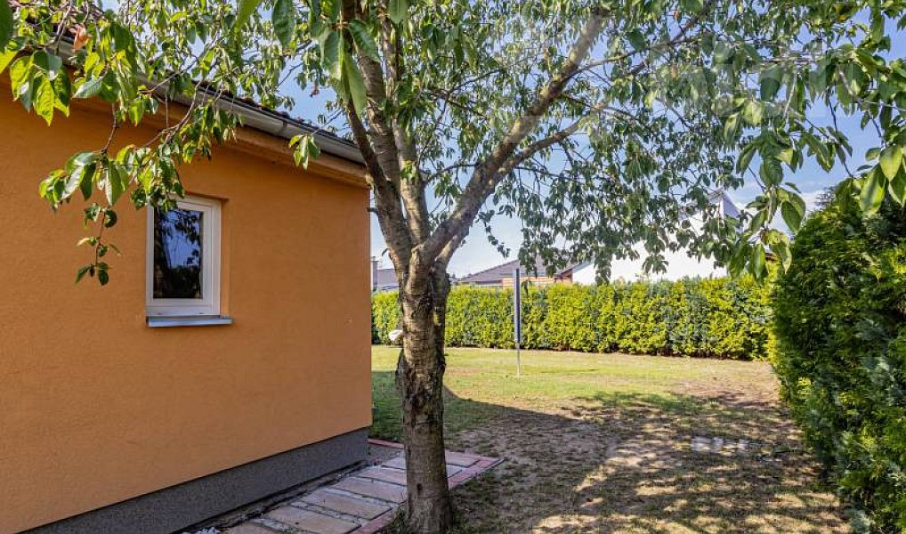 Prodej domu 150 m² s pozemkem 700 m², Dynín – náhled fotky 19
