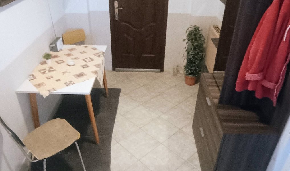 Prodej domu 268 m² s pozemkem 1 347 m², Plzeň – náhled fotky 19