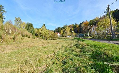 Prodej louky 6 847 m², Janov nad Nisou - Loučná nad Nisou, okres Jablonec nad Nisou