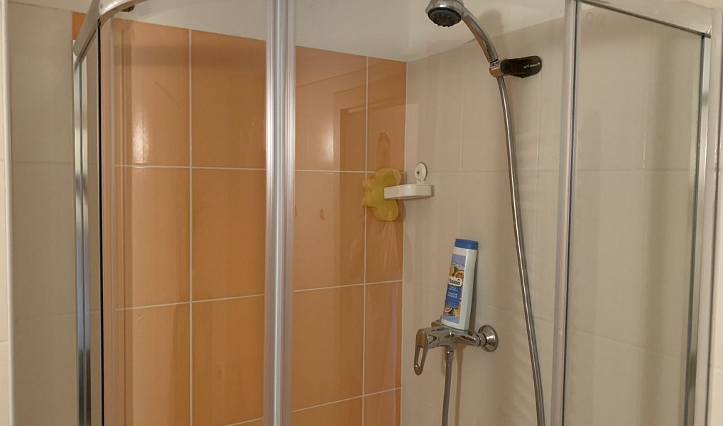 Prodej bytu 1+kk 33 m², Praha – náhled fotky 6