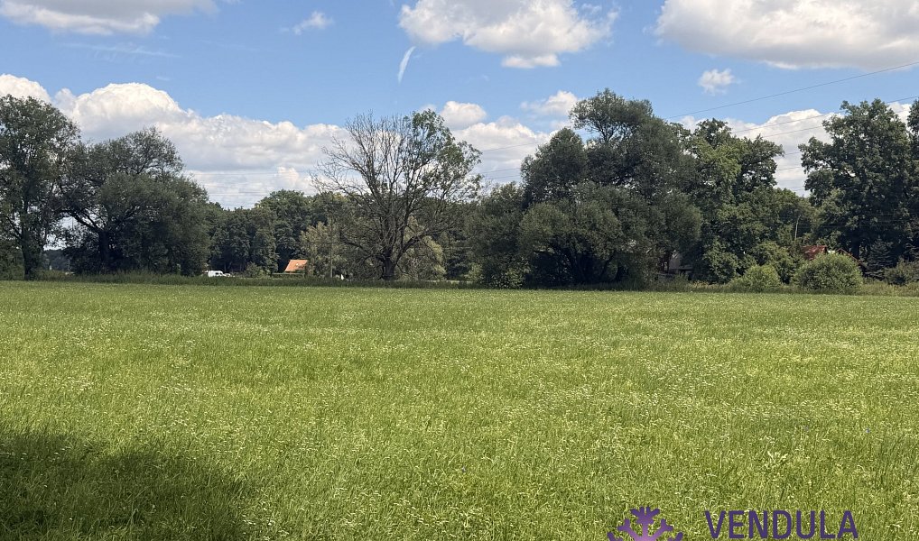 Prodej chaty/chalupy 33 m² s pozemkem 33 m², Skorkov – náhled fotky 18