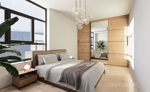 Prodej bytu 2+kk 67 m², Křenová, Brno - Trnitá