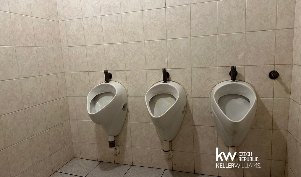 Pronájem komerčního objektu (jiného typu) 80 m², Bílina – náhled fotky 7