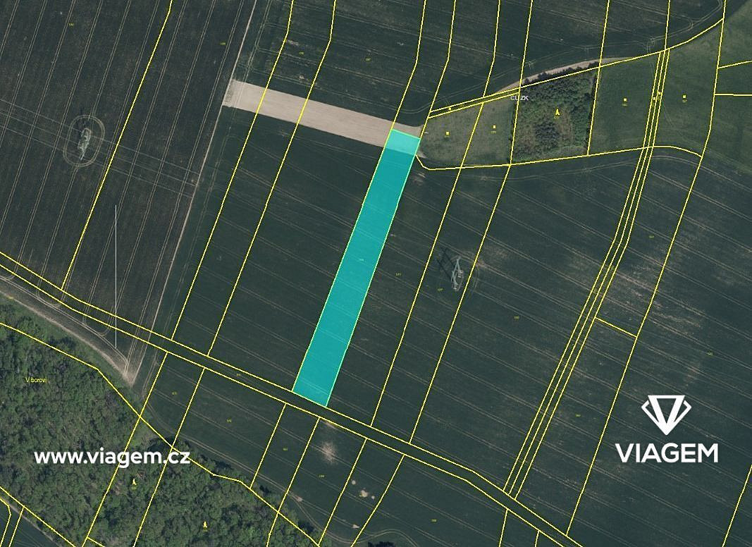 Prodej pole 1 256 m² – fotografie 3