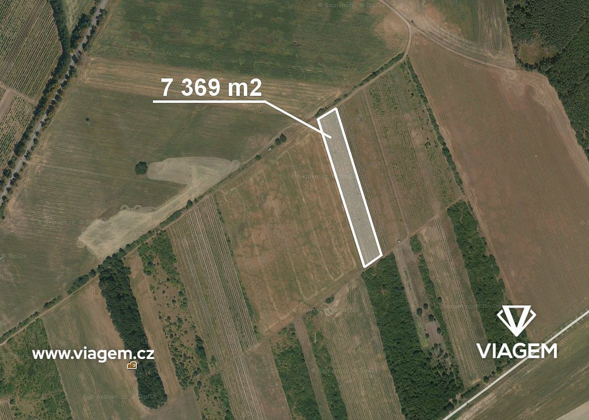 Prodej pole 1 901 m² – fotografie 3