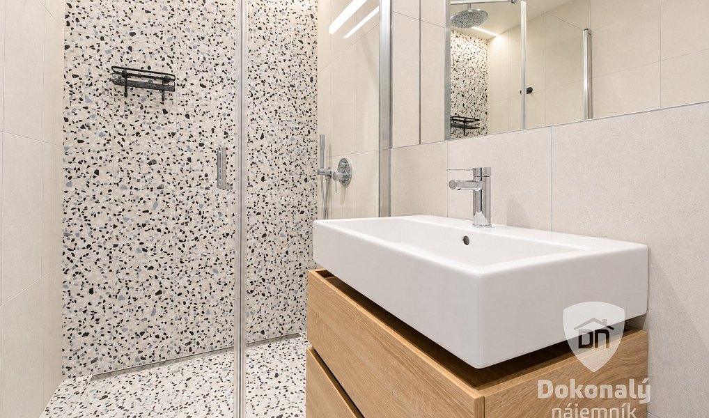 Pronájem bytu 1+kk 36 m², Praha – náhled fotky 11