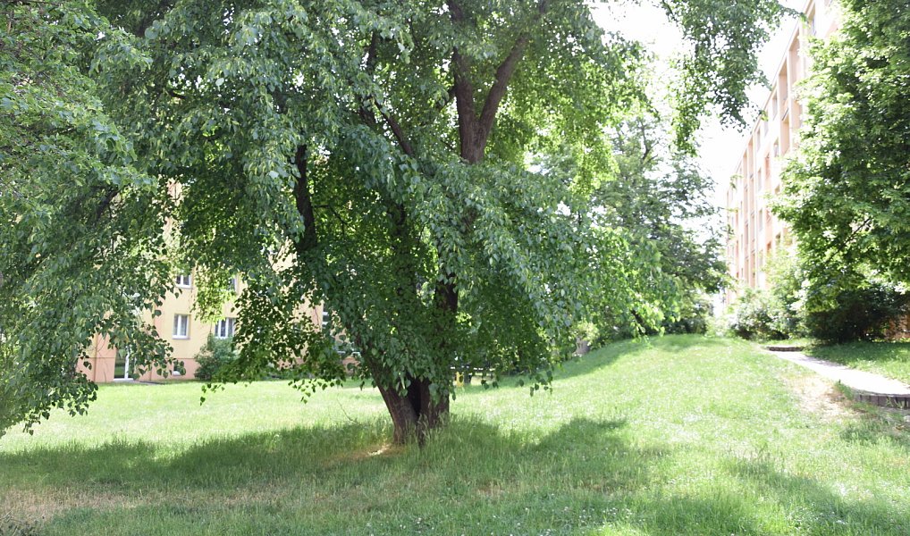 Prodej bytu 1+kk 24 m², Praha – náhled fotky 10