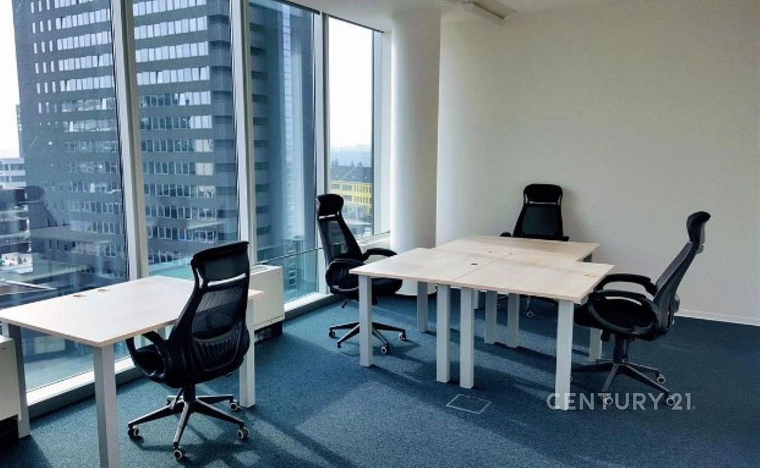 Pronájem kanceláře 450 m² — photo 2