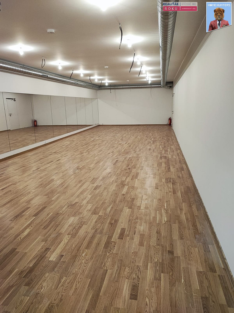 Pronájem obchodních prostor 540 m² — photo 2