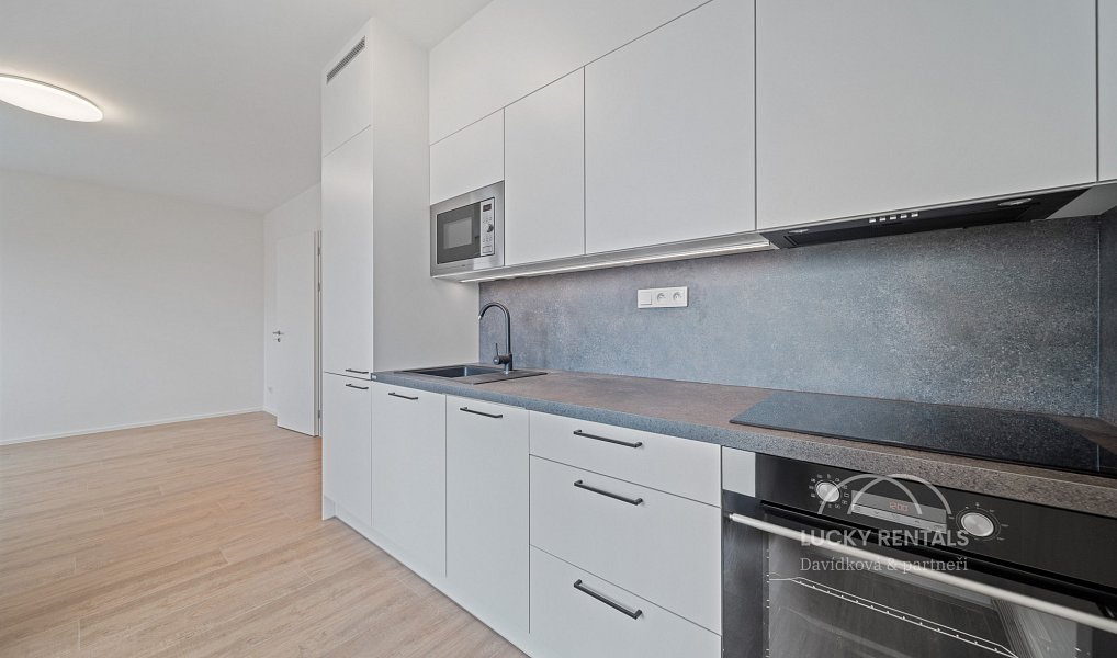 Pronájem bytu 1+kk 30 m², Praha – náhled fotky 13