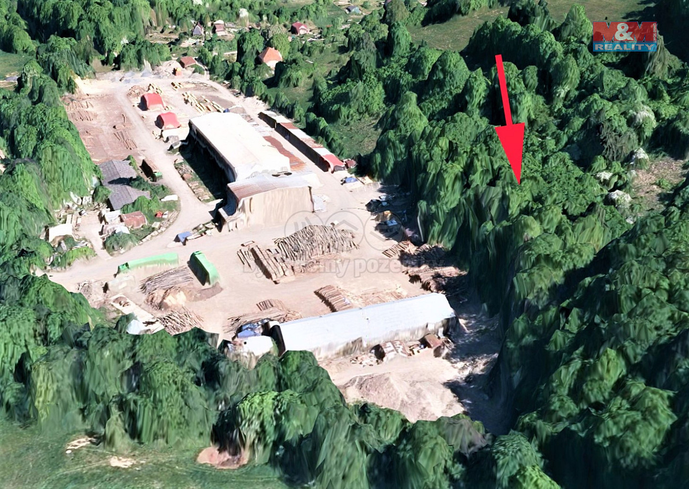Prodej lesa 3 651 m² – fotografie 3