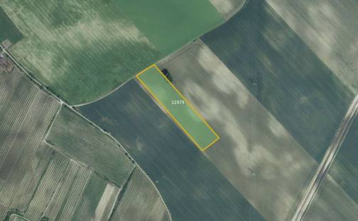 Prodej pole 26 029 m², Mutěnice, okres Hodonín