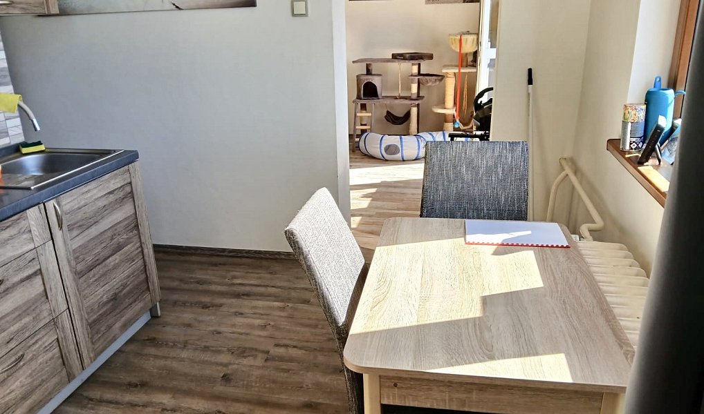 Pronájem bytu 3+1 69 m², Dvůr Králové nad Labem – náhled fotky 3
