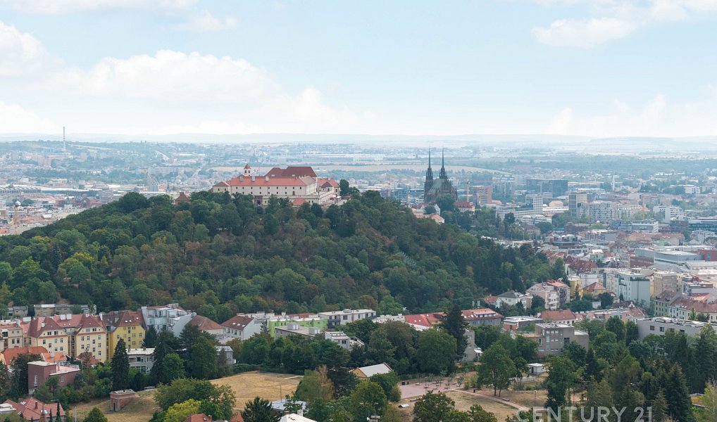 Pronájem kanceláře 160 m², Brno – náhled fotky 11