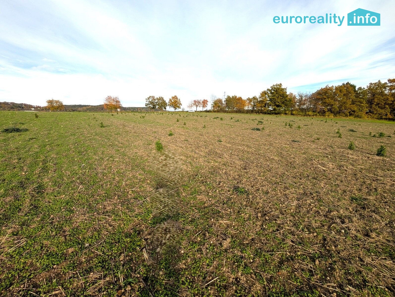 Prodej stavebního pozemku 3 986 m² – fotografie 4