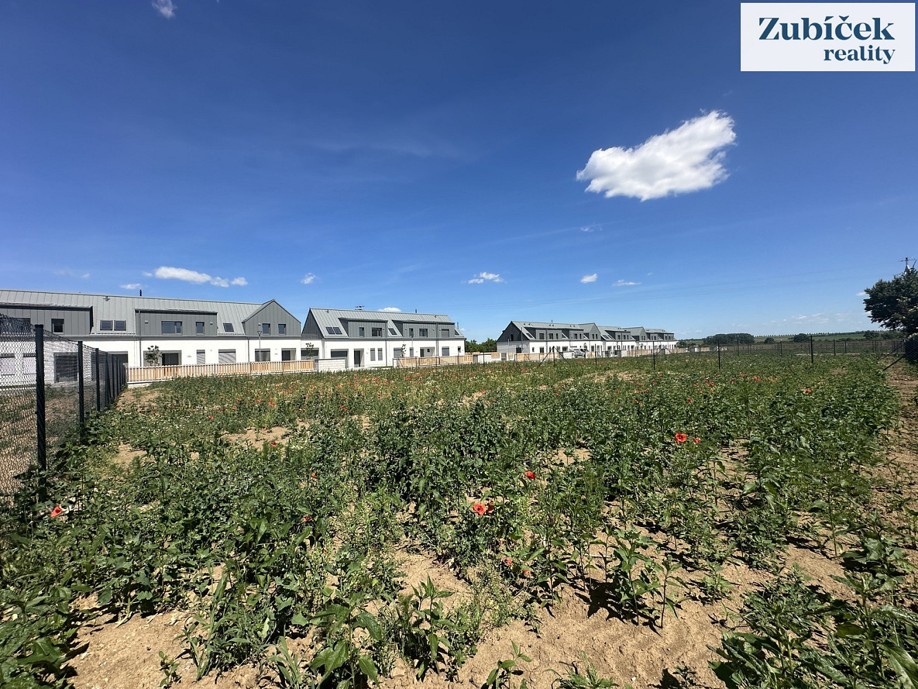 Prodej stavebního pozemku 743 m² — photo 2