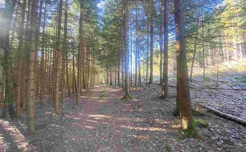 Prodej pozemku 1 644 m², Železná Ruda - Špičák, okres Klatovy