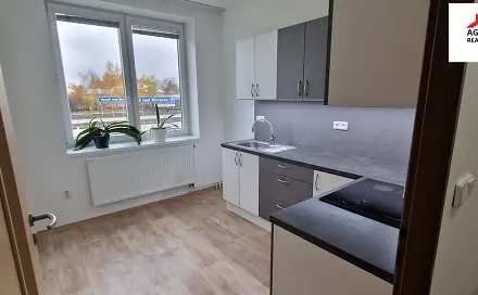 Pronájem bytu 1+1 42 m²