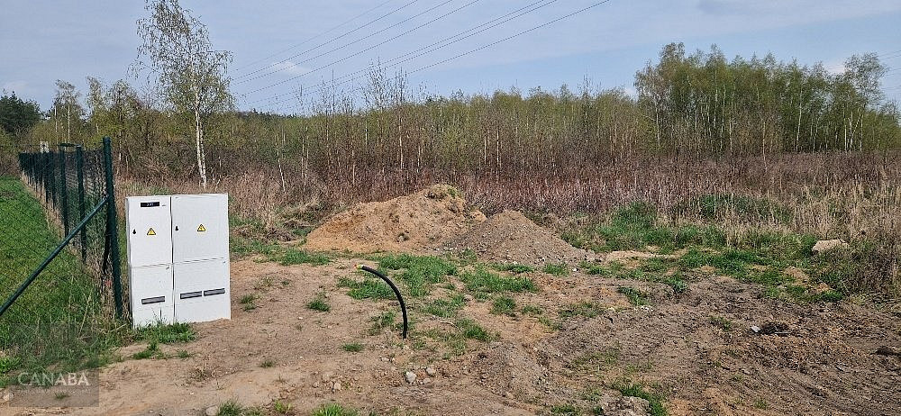 Prodej domu 181 m² s pozemkem 1 000 m² — photo 4