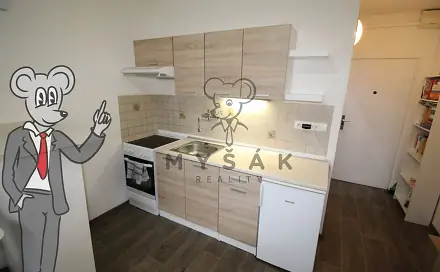 Pronájem bytu 1+kk 21 m², Plzeňská, České Budějovice - České Budějovice 3