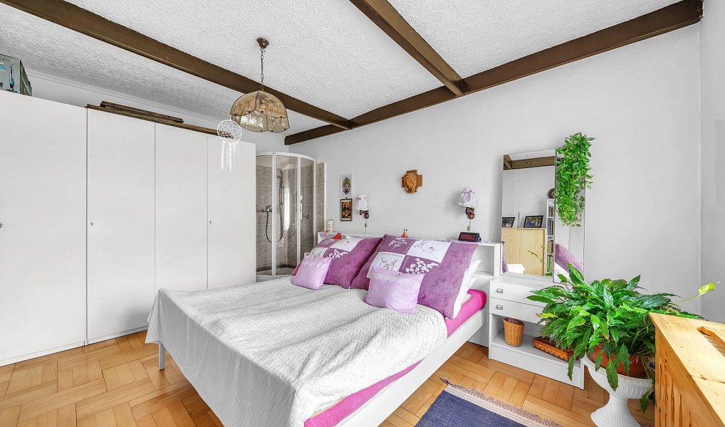 Prodej domu 253 m² s pozemkem 5 652 m², Červený Kostelec – náhled fotky 26