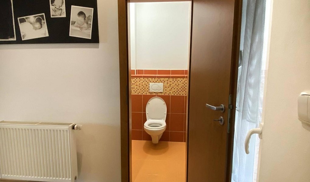 Prodej domu 261 m² s pozemkem 218 m², Slavkov u Brna – náhled fotky 9