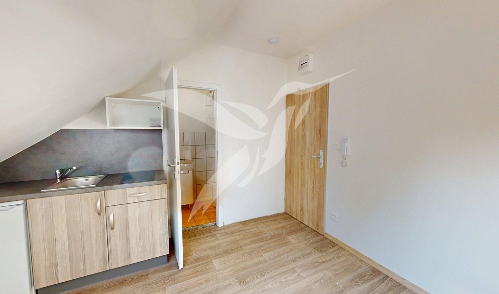 Pronájem bytu 1+kk 17 m², Šťáhlavy – náhled fotky 6