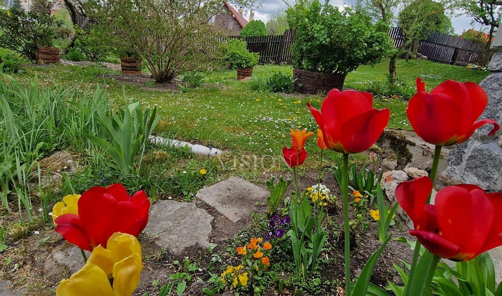 Prodej domu 130 m² s pozemkem 794 m², Staré Město pod Landštejnem – náhled fotky 25