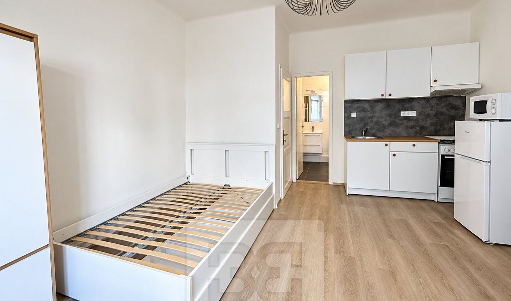 Pronájem bytu 1+kk 27 m², Praha – náhled fotky 2