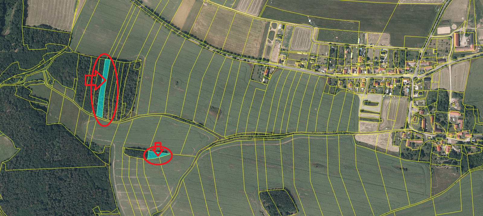 Prodej lesa 5 168 m² — photo 4