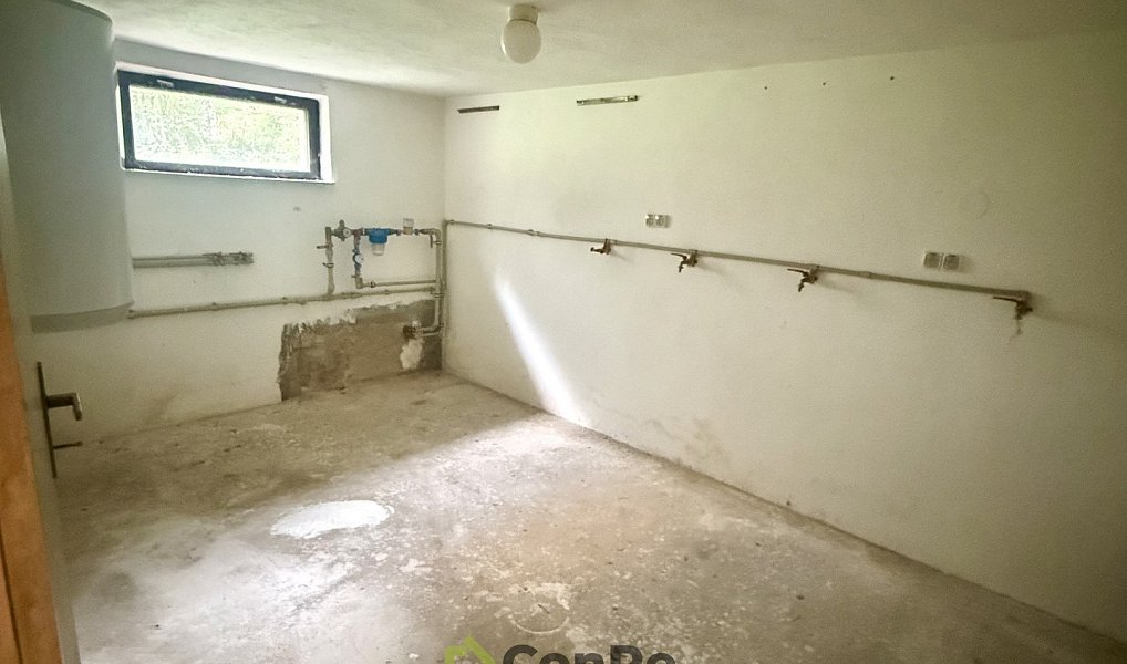 Prodej domu 297 m² s pozemkem 2 452 m², Provodín – náhled fotky 16