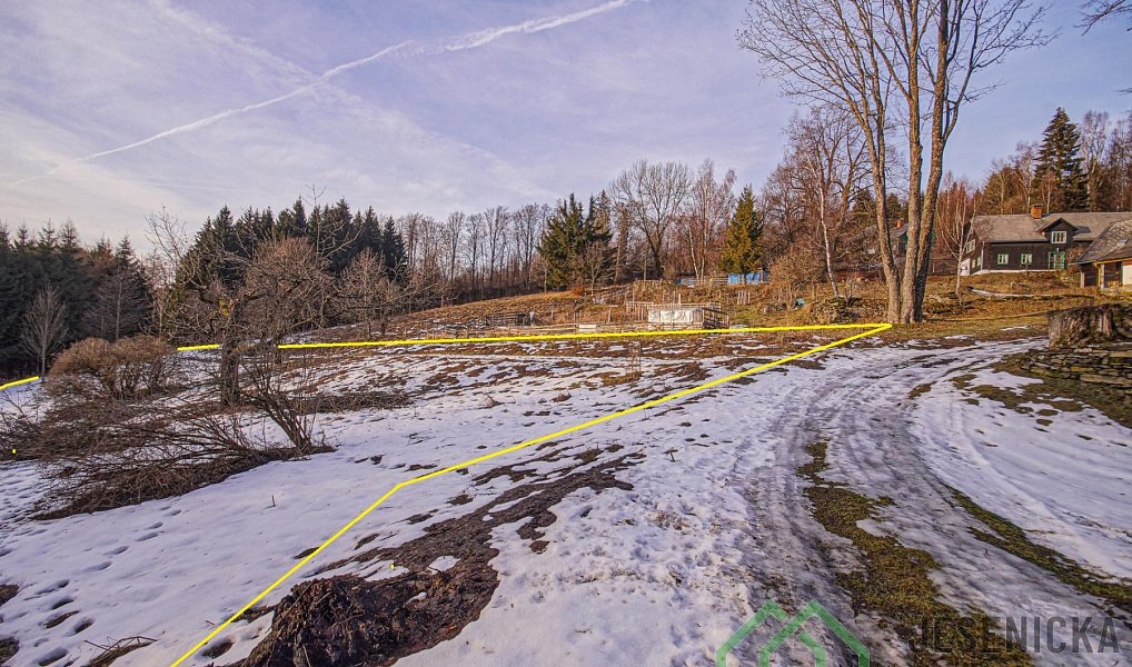 Prodej louky 2 772 m², Branná – náhled fotky 10