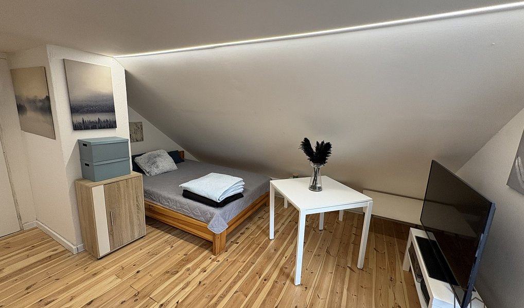 Prodej domu 110 m² s pozemkem 1 002 m², Horní Suchá – náhled fotky 21
