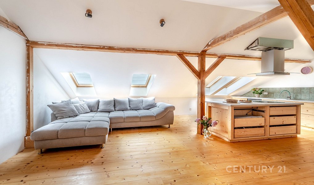 Prodej domu 417 m² s pozemkem 1 139 m², Křenice – náhled fotky 28