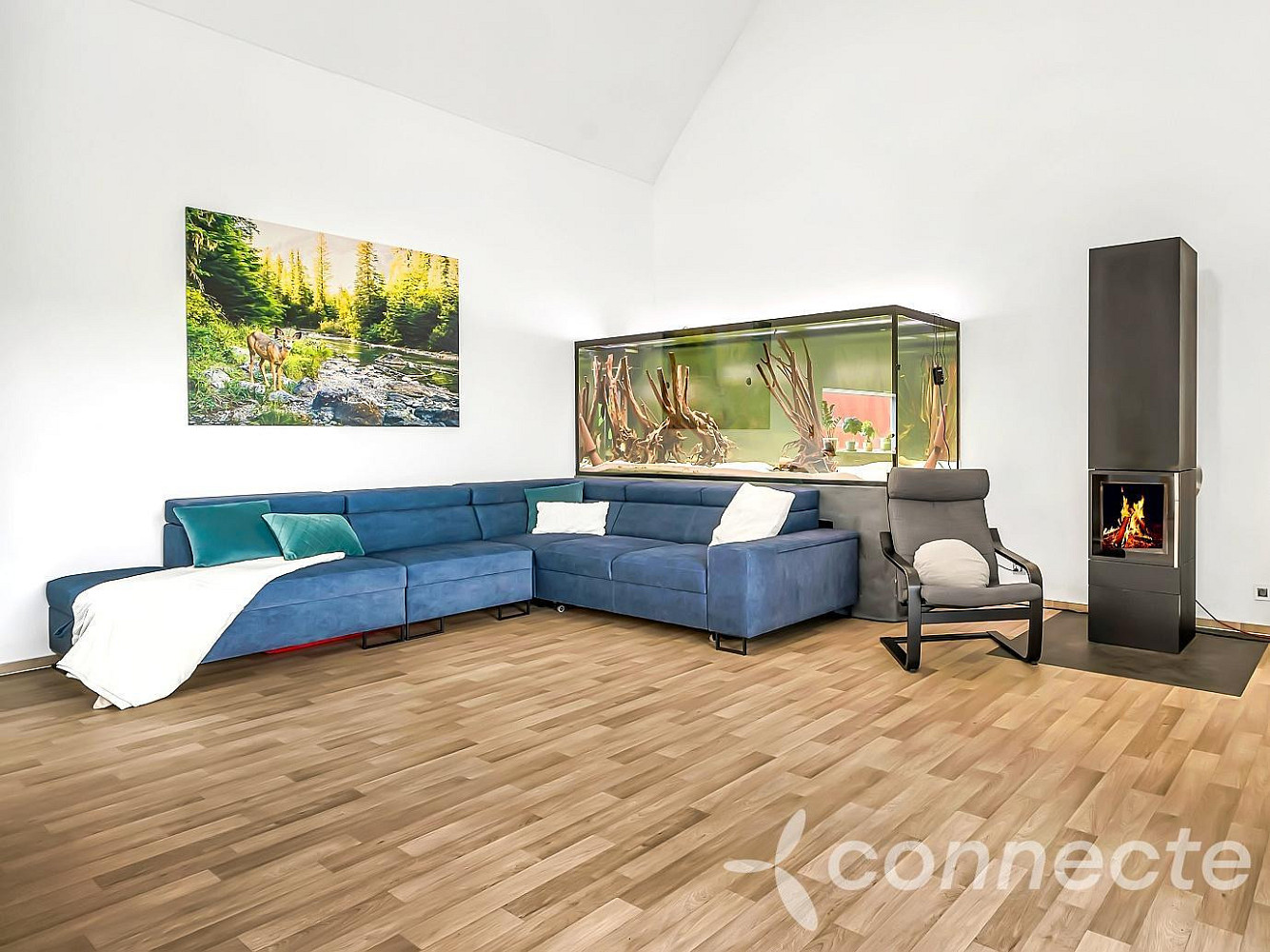 Prodej domu 151 m² s pozemkem 1 315 m² – další
