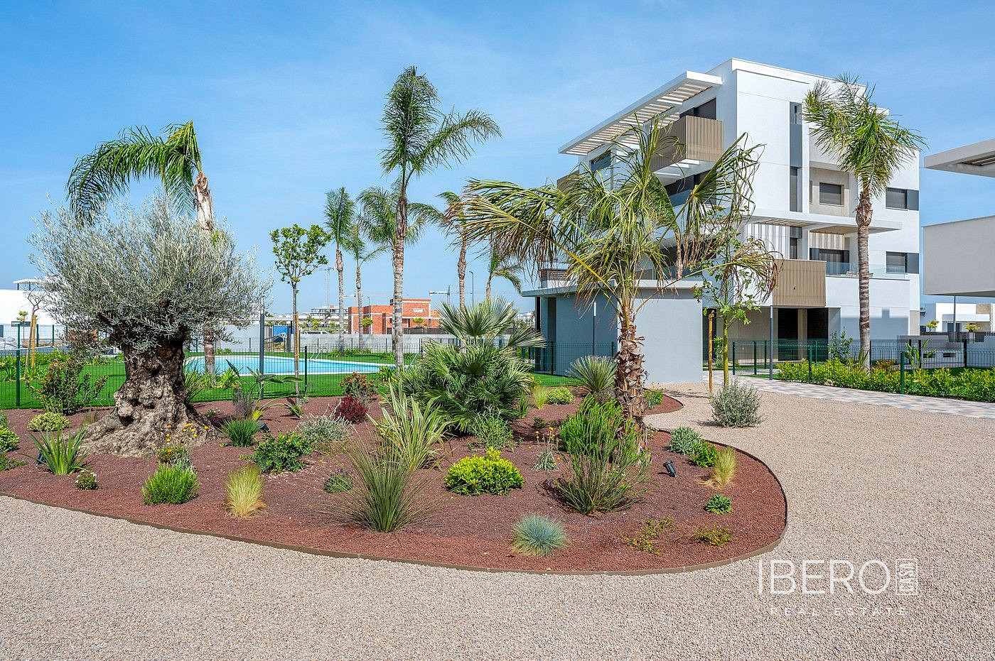Pis 3+kk – Torre Pacheco, Torre-Pacheco - Vista 3