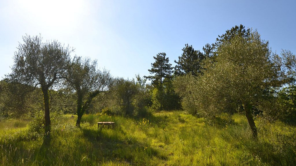 Prodej domu 135 m² s pozemkem 15 000 m² — photo 2