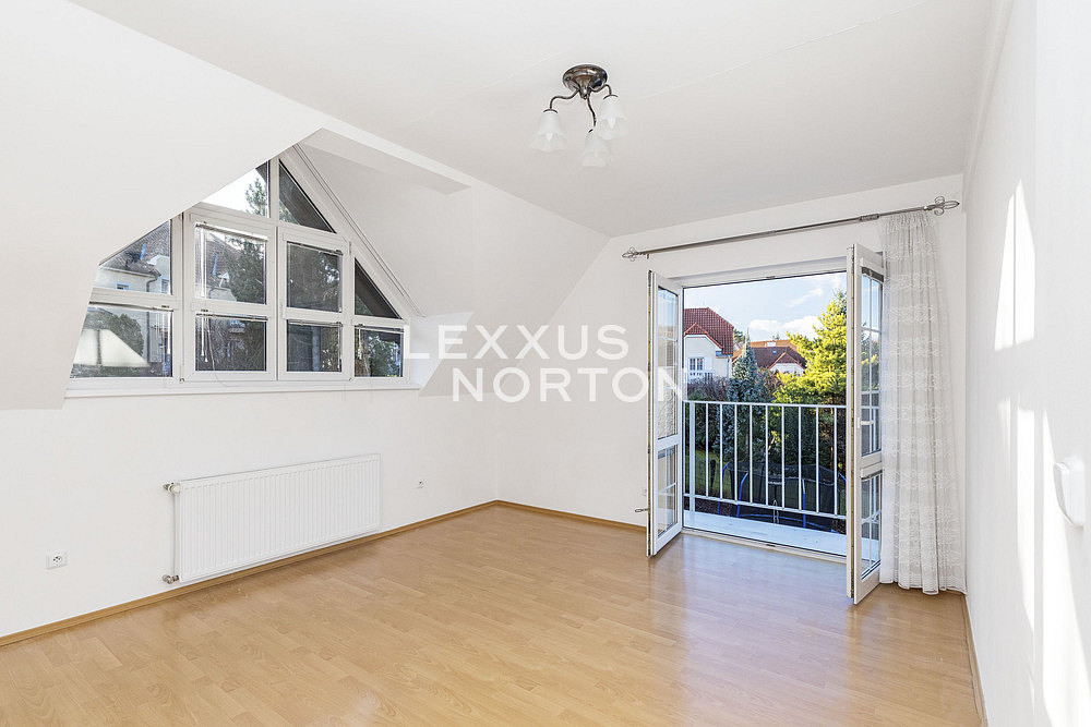 Pronájem domu 251 m² s pozemkem 858 m² — photo 5