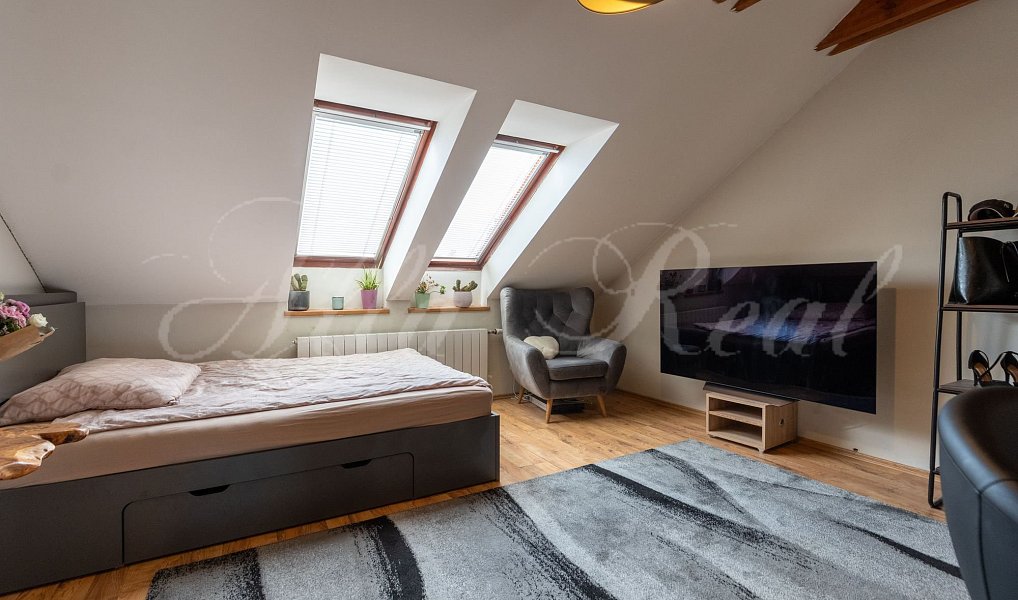 Prodej domu 371 m² s pozemkem 1 670 m², Modřice – náhled fotky 16