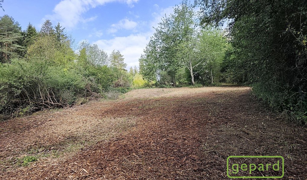 Prodej stavebního pozemku 14 307 m², Světlík – náhled fotky 6